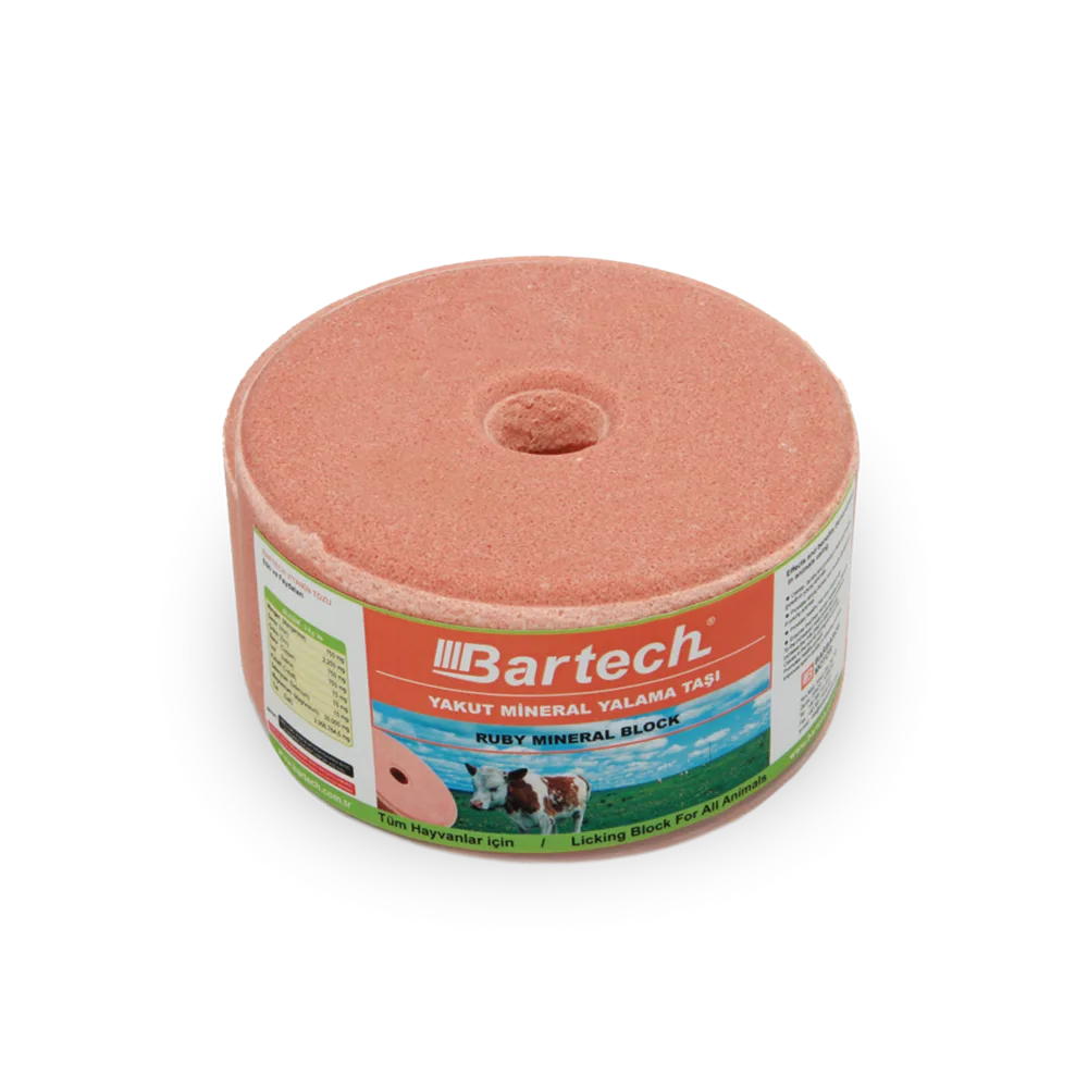 Bartech Yakut Mineral Blok